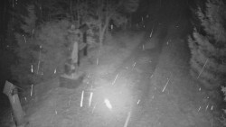 Bílá - běžecká trať