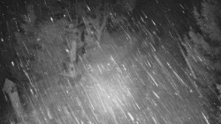 Bílá - běžecká trať