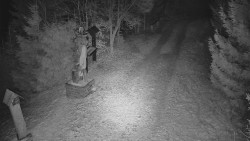 Bílá - běžecká trať