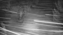 Bílá - běžecká trať