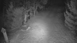 Bílá - běžecká trať