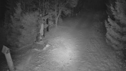 Bílá - běžecká trať