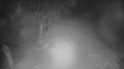 Bílá - běžecká trať