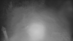 Bílá - běžecká trať