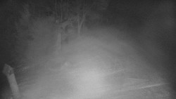 Bílá - běžecká trať