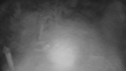 Bílá - běžecká trať