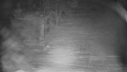 Bílá - běžecká trať