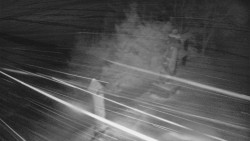 Bílá - běžecká trať