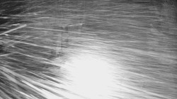 Bílá - běžecká trať