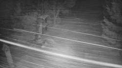 Bílá - běžecká trať