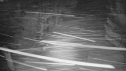 Bílá - běžecká trať