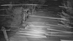 Bílá - běžecká trať