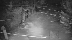 Bílá - běžecká trať