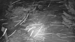 Bílá - běžecká trať