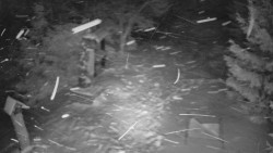 Bílá - běžecká trať