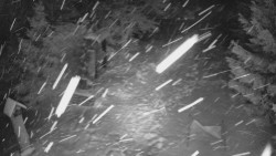 Bílá - běžecká trať