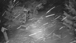 Bílá - běžecká trať