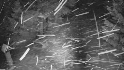 Bílá - běžecká trať