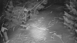 Bílá - běžecká trať