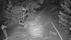 Bílá - běžecká trať