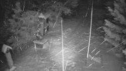 Bílá - běžecká trať