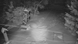 Bílá - běžecká trať