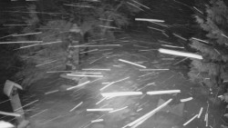 Bílá - běžecká trať