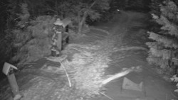 Bílá - běžecká trať