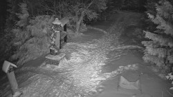 Bílá - běžecká trať