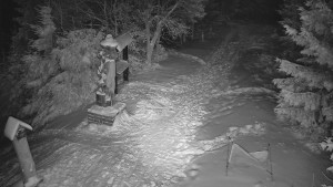 Skiareál Bílá - Bílá - běžecká trať - 2.1.2026 v 03:00 Skiareál Bílá - Bílá - běžecká trať - 2.1.2026 v 03:00