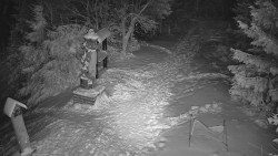 Bílá - běžecká trať