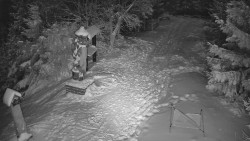 Bílá - běžecká trať