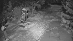 Bílá - běžecká trať