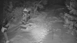 Bílá - běžecká trať