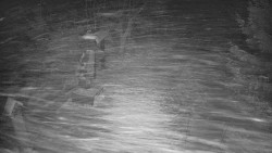 Bílá - běžecká trať