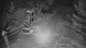 Skiareál Bílá - Bílá - běžecká trať - 7.1.2026 v 01:00 Skiareál Bílá - Bílá - běžecká trať - 7.1.2026 v 01:00