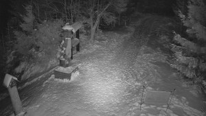 Skiareál Bílá - Bílá - běžecká trať - 7.1.2026 v 02:00 Skiareál Bílá - Bílá - běžecká trať - 7.1.2026 v 02:00