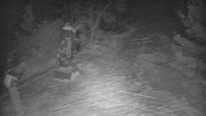 Skiareál Bílá - Bílá - běžecká trať - 7.1.2026 v 17:30 Skiareál Bílá - Bílá - běžecká trať - 7.1.2026 v 17:30