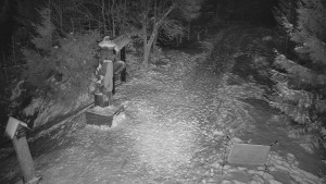 Skiareál Bílá - Bílá - běžecká trať - 7.1.2026 v 18:00 Skiareál Bílá - Bílá - běžecká trať - 7.1.2026 v 18:00