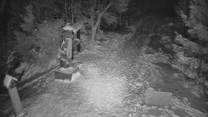 Skiareál Bílá - Bílá - běžecká trať - 7.1.2026 v 19:00 Skiareál Bílá - Bílá - běžecká trať - 7.1.2026 v 19:00