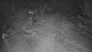 Skiareál Bílá - Bílá - běžecká trať - 7.1.2026 v 20:30 Skiareál Bílá - Bílá - běžecká trať - 7.1.2026 v 20:30