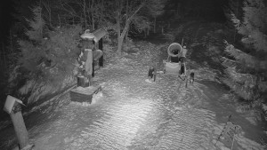 Skiareál Bílá - Bílá - běžecká trať - 7.1.2026 v 22:00 Skiareál Bílá - Bílá - běžecká trať - 7.1.2026 v 22:00