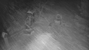 Skiareál Bílá - Bílá - běžecká trať - 7.1.2026 v 22:30 Skiareál Bílá - Bílá - běžecká trať - 7.1.2026 v 22:30