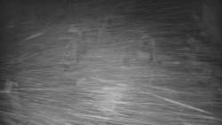 Bílá - běžecká trať