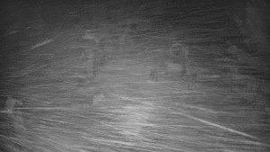 Skiareál Bílá - Bílá - běžecká trať - 7.1.2026 v 23:00 Skiareál Bílá - Bílá - běžecká trať - 7.1.2026 v 23:00