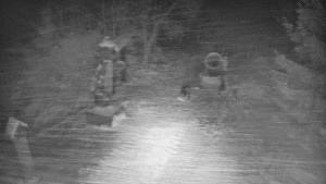 Skiareál Bílá - Bílá - běžecká trať - 7.1.2026 v 23:30 Skiareál Bílá - Bílá - běžecká trať - 7.1.2026 v 23:30