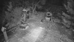 Bílá - běžecká trať