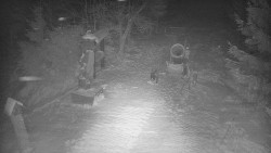 Bílá - běžecká trať