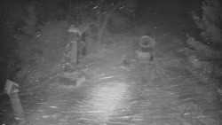 Bílá - běžecká trať