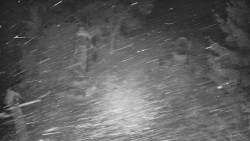 Bílá - běžecká trať